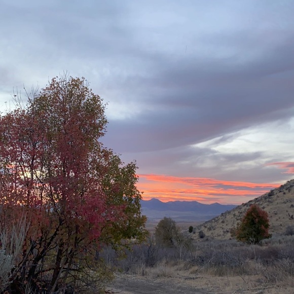 Meet your Posher!  NaturalNurseJ - Picture 1 of 1